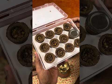 Vedic Havan Dhoop Cup video