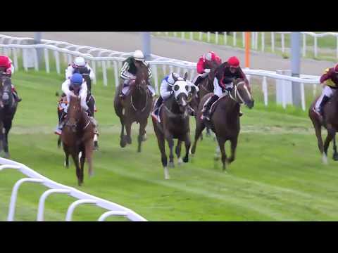 2020.06.27 Oslo Cup (NOR) - Privilegiado