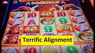 Buffalo Triple Boost Slot Super Big Win!! Aristocrat Game Video