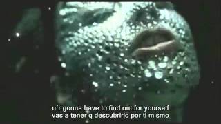scatterheart español bjork.wmv