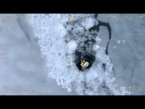 NYPD and FDNY Combine to Make Dramatic Rescue From Icy Water