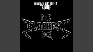 Seek And Destroy (Cover Version)