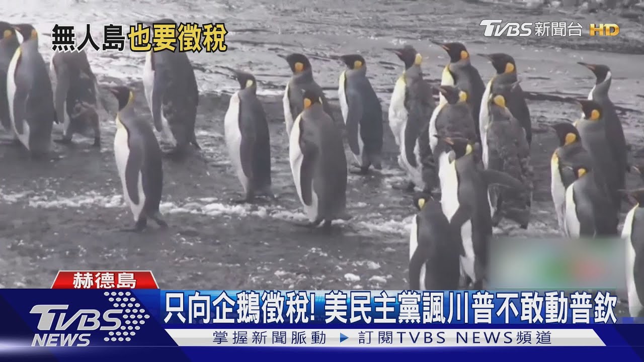 只向企鵝徵稅!川普「關稅刀」沒砍普欽 民主黨領袖開罵