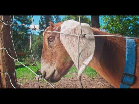 Things to do in Durango, Colorado 30sec