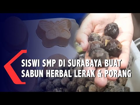 Siswi SMP di Surabaya Buat Sabun Mandi Herbal dari Lerak dan Porang