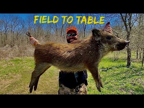 Public Land WILD HOG {Catch Clean & Cook} FIELD TO TABLE