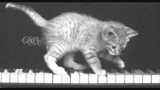 Kitten on the Keys - Fun Ragtime Piano