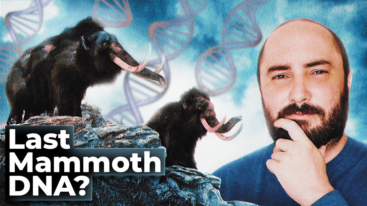 The Strange DNA of the last mammoths