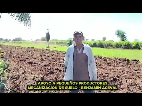 Mecanización de suelo en beneficio de los pequeños productores de la localidad de Benjamín Aceval.