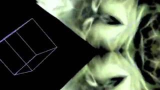 Avey Tare - Ghost of Books