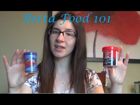 Betta Food 101 | What I Feed and Why