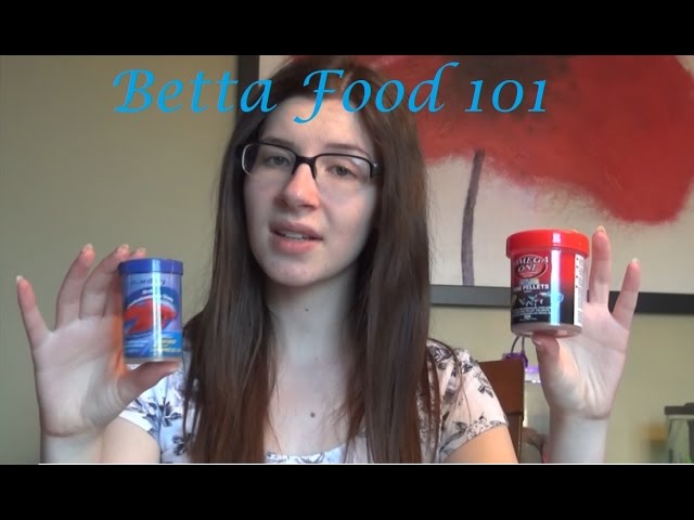 Betta Food 101 | What I Feed and Why