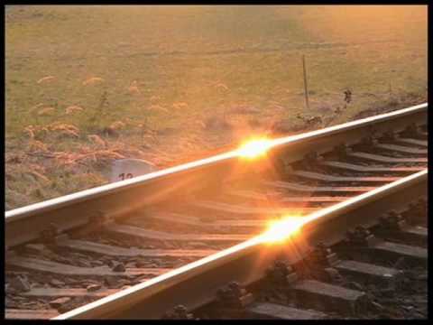 Brontosauři - Slunovrat