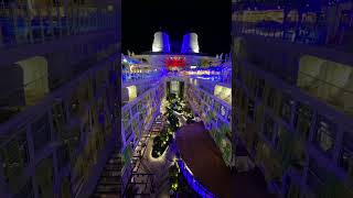 🚢 Central Park on Icon of the Seas #cruiseship #cruise #iconoftheseas
