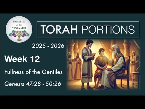 Torah Portion Week 12 - Genesis 47:28 - 50:26  (Forgiveness is King)  2025 - 2026