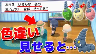 ミノムッチの色違いを4匹捕まえて子供相手にマウントをとる男【ポケモンXY/BDSP】