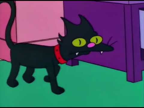 Quiten ese gato de la tele!!! - Los Simpson (TV Series)