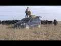 Ranchin In My Van Camila Cabello Havana Parody