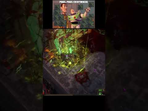 PoE leveling Toxic Rain Raider #shorts