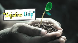 Download lagu Pitutur Luhur Bahasa Jawa | Sang Jagat (Guru Sejatine Urip) mp3