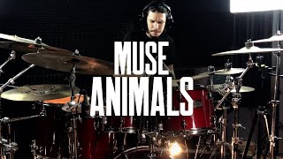 Muse - Animals Drum Cover