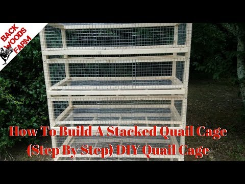 How To Build A Stacked Quail Cage (Step By Step) DIY Quail Cage