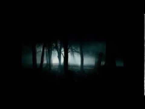 I'm walking home - A dying Navarr's song