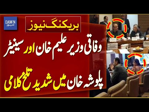 Heated Exchange Between Federal Minister Aleem Khan and Senator Palwasha | Breaking News| Dawn News