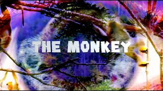 Monk Key Music Video