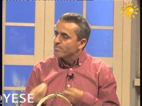 A1 Report, Rreze Dielli dt 15 tetor 2013 A e dime cfare konsumojme ,Brokoli