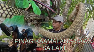 JUMBO KING COBRA NA TRAPPED SA NET NA RESCUE NG TEAM