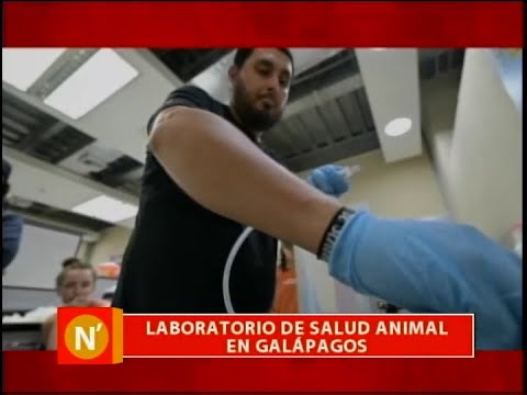 Laboratorio de salud animal en Galápagos