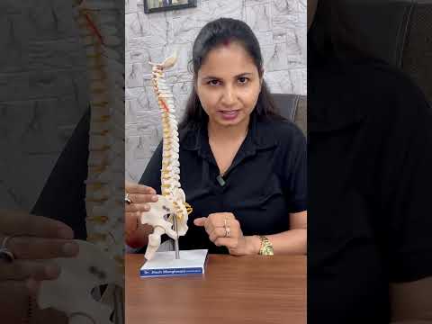 💪 Pelvic Tilt Exercise for Lower Back Pain Relief | Improve Posture 🦴 #shorts #painrelief
