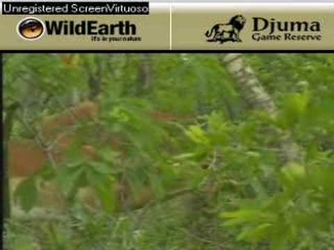 Sunset drive 112407-2