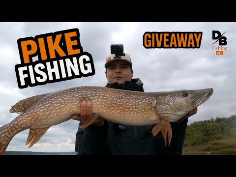 FALL NORTHERN PIKE | ANGLERS ALLEY GIVEAWAY!