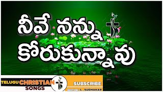 నీవే నన్ను కోరుకున్నావు