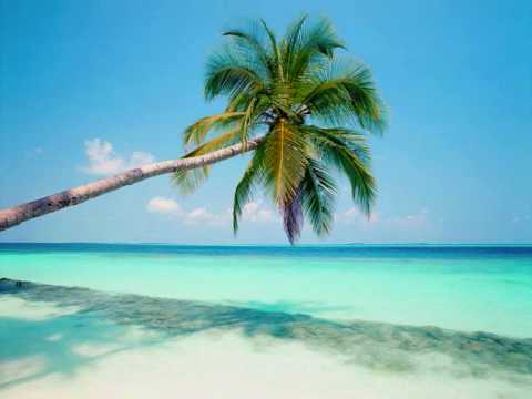 dj zenith vs avex- the music is now