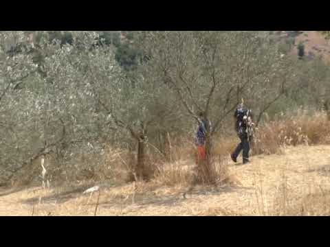 Ariano, sbalzato dal trattore cade e muore sul colpo