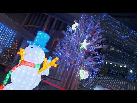 山国のイルミがすごいんです！