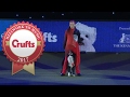 International Freestyle Heelwork To Music Competition Winner | Crufts 2017