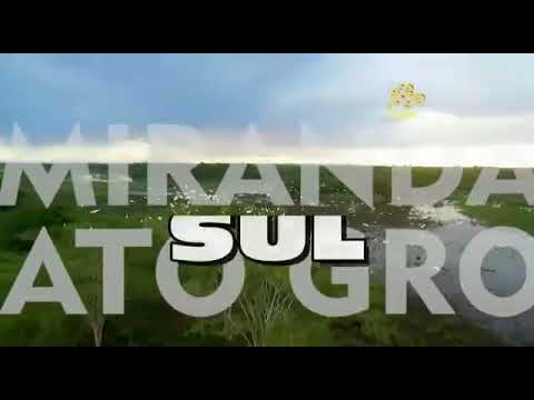 Conheça Miranda MS  Estado do Pantanal