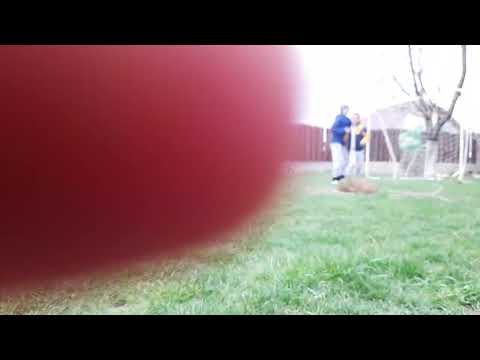 acs Lugoj meci csc iratosu ep 2