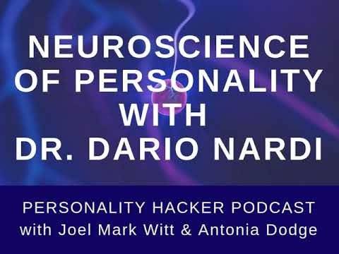 Neuroscience Of Personality With Dr. Dario Nardi | Audio Ep 135 | PersonalityHacker.com