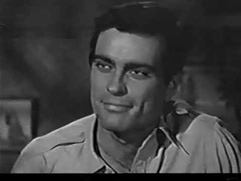 The Quest Of Ambrose Feather