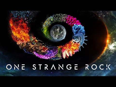 ONE STRANGE ROCK