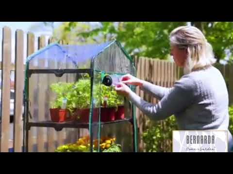 INVERNADERO EN CASA 🌱 #BernardaHome