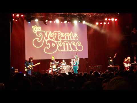 TWRP & Ninja Sex Party - No Pants Dance LIVE