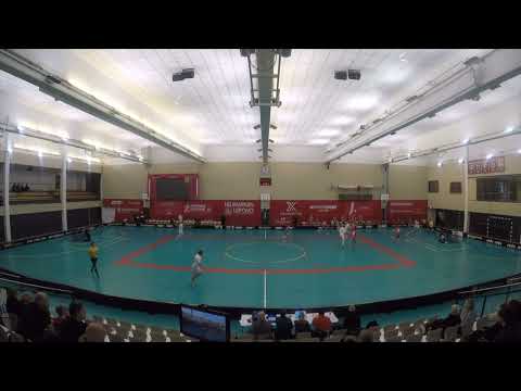 P22: SPV - EräViikingit 4.3.2023 maalikooste