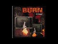 Burn – Cleanse