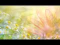 Peaceful music, Relaxing music, Spa music "The Stars at Night" by Tim Janis